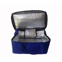 Airline Aluminum Foil EPE Foam Chiller Bag