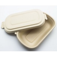 Biodegradable high heat-resistant sugarcane bagasse food container for airline