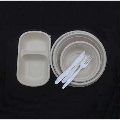 Disposable Plastic Noodle Biodegradable Soup Container