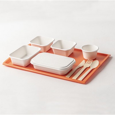 Sugarcane bagasse biodegradable tableware for airline